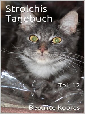 cover image of Strolchis Tagebuch, Teil 12